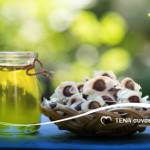 Το έλαιο μορίνγκα, το μαγικό καλλυντικό